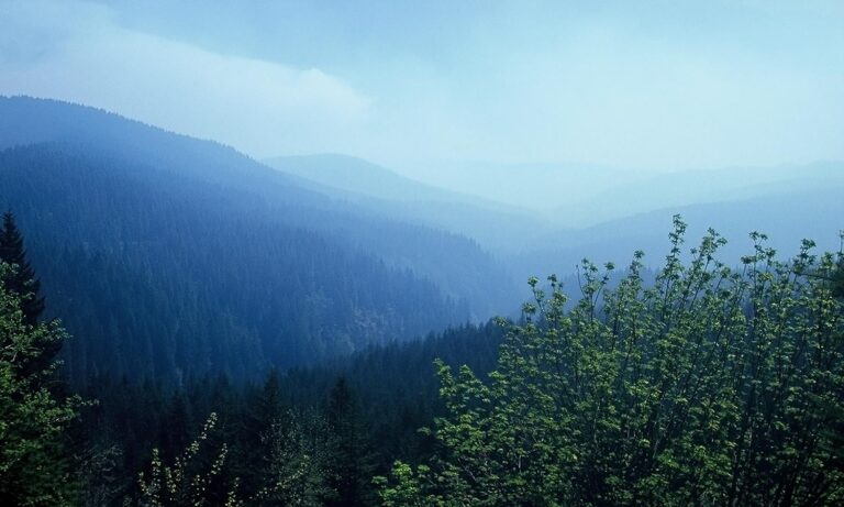 Oregon Private Forestland Negotiations Start