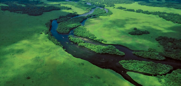 Kamchatka’s First Salmon Council