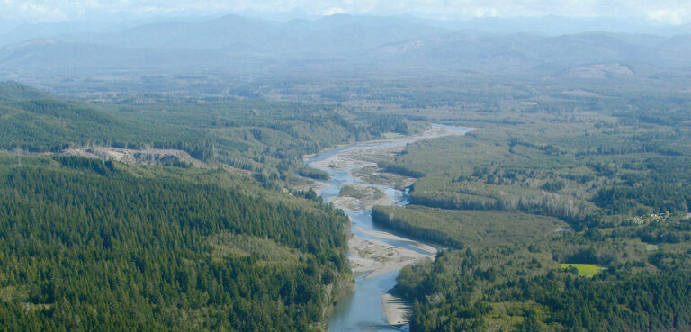 Partner Profile: LightHawk