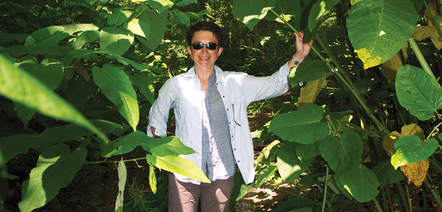 Sakhalin Salmon Park