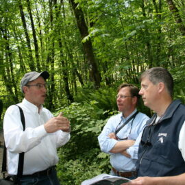 Three men talking in forest.