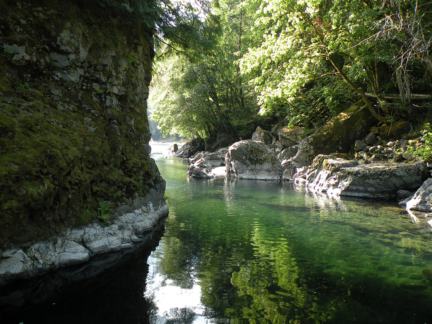 Tillamook Trails Go West Wild Salmon Center