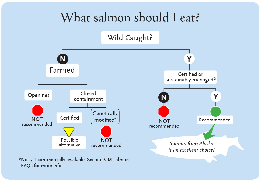 Top 10 Reasons Not to Eat Salmon