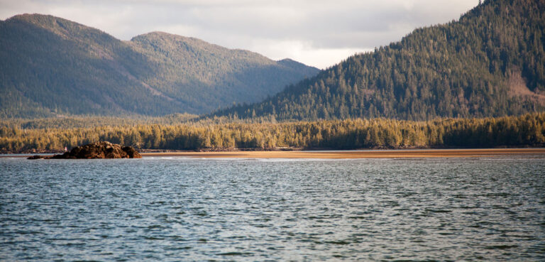 Skeena LNG Dead for Now