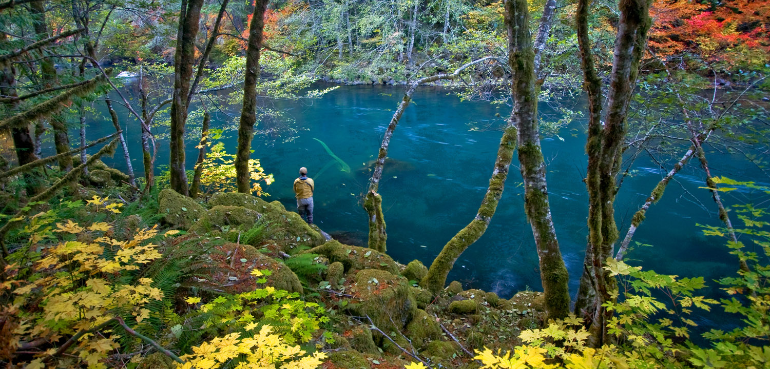 OR-NUmpqua-KMorrish-AR15