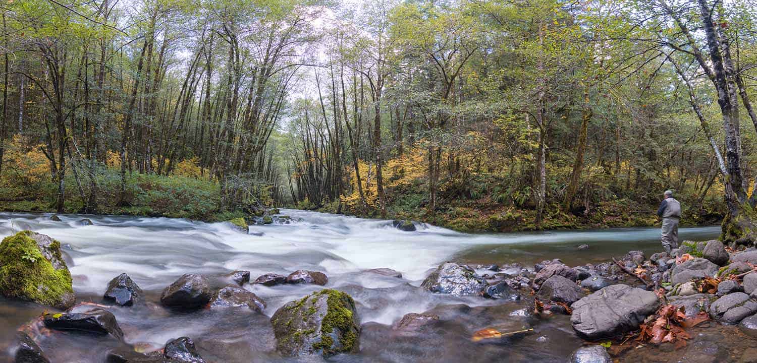 Fly fishing on the Wilson River, Oregon