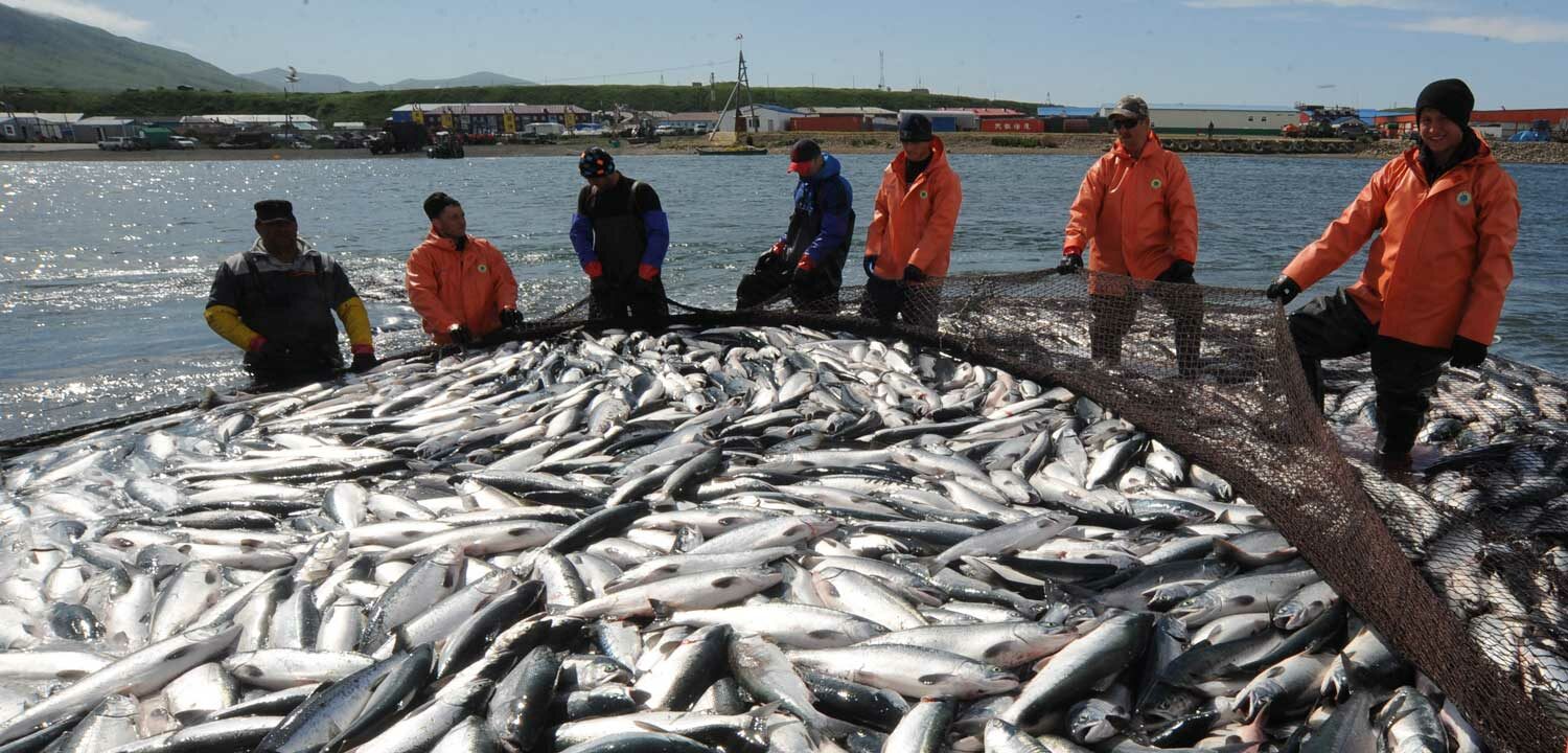 Commercial fishing in Kamchatka