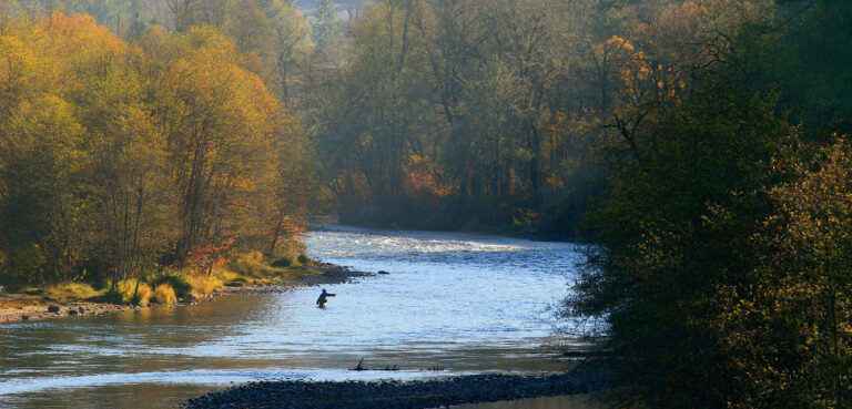 Public Input Needed on Oregon Stream Rules