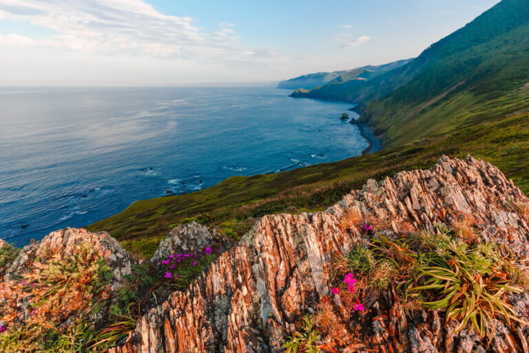 Overfishing Halted on Sakhalin