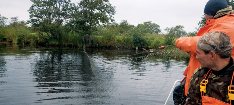 Sakhalin Fishermens’ Protection Efforts Deliver Returns