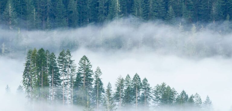 Oregon Legislature: Strong Finish For Public Lands, Fish