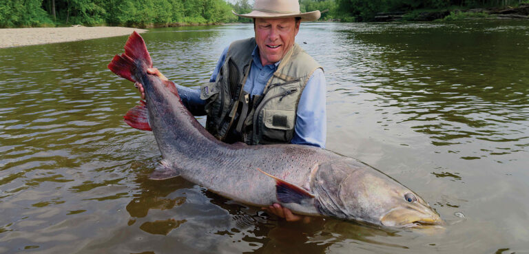 Field Notes: Unlocking Taimen Mysteries