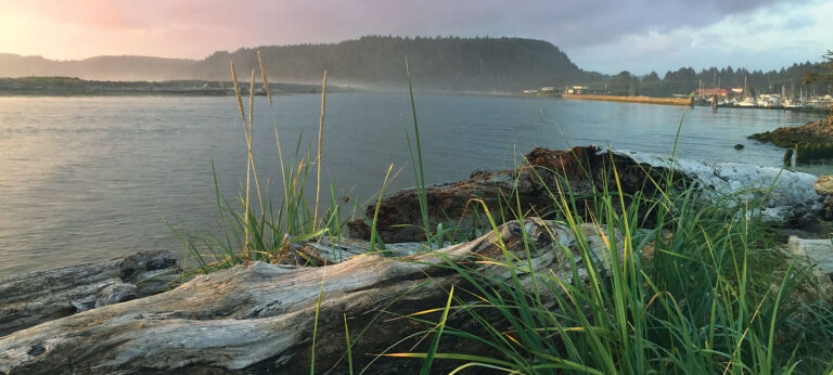 Washington: Salmon Investments Would Strengthen Coast