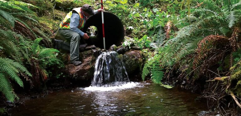 Rooting Out ‘Mini-Dams’