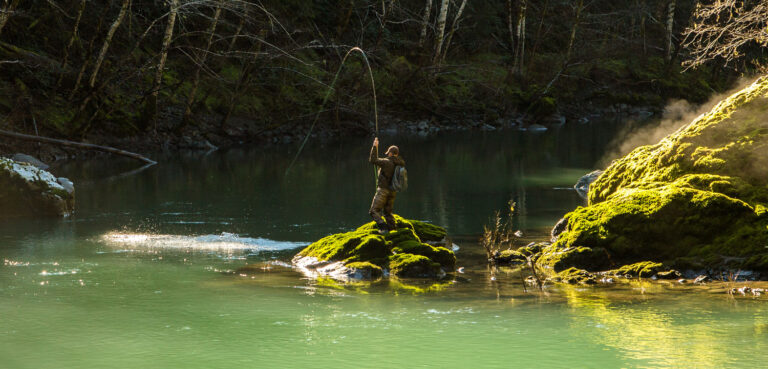 California Strongholds