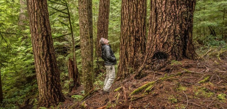 The Elliott Close to New Role as Key Research Forest