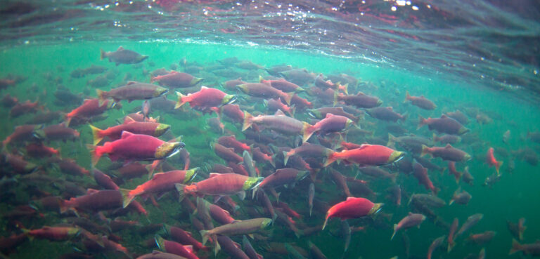 What We Stand to Lose