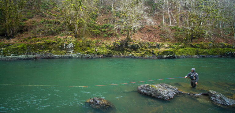 Oregon’s Scenic Nehalem