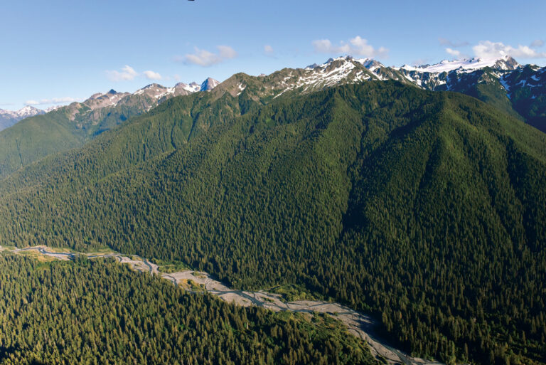 Outdoor Project’s Seattle Block Party