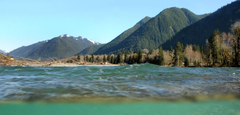 WSC Welcomes Jess Helsley