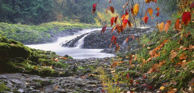 Governor Intercedes in Chehalis Dam