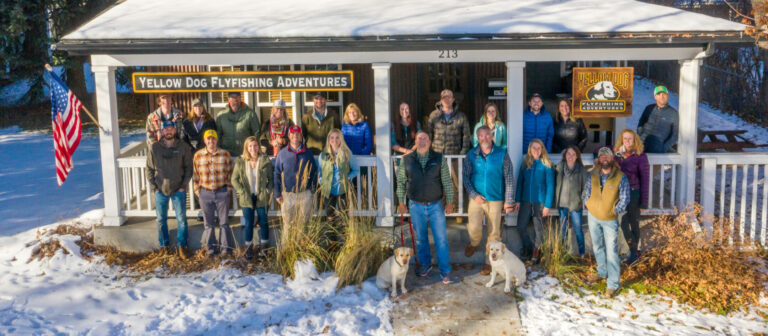 Ultimate Ally: Yellow Dog