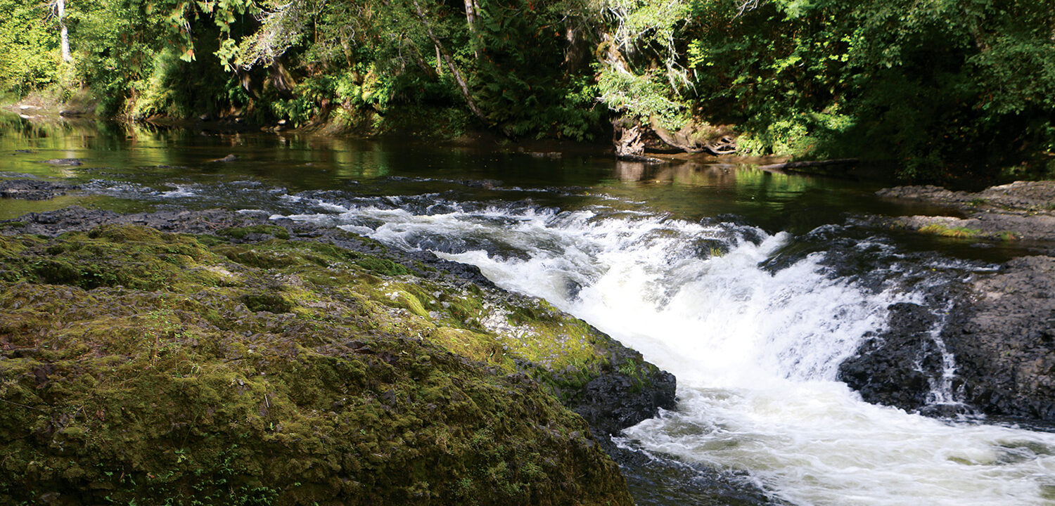 Chehalis River - Wild Salmon Center