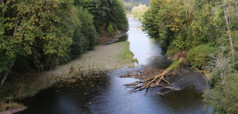 Respecting the Chehalis