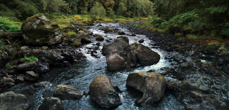 A Win for the Nehalem