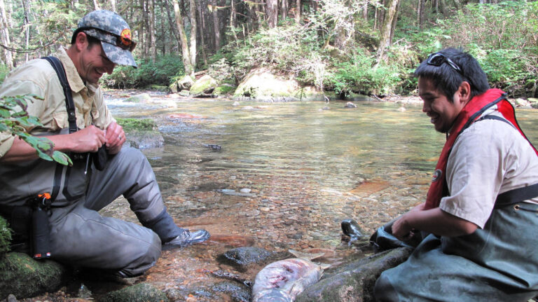 Mapping BC’s Wild Salmon and Steelhead—With DNA