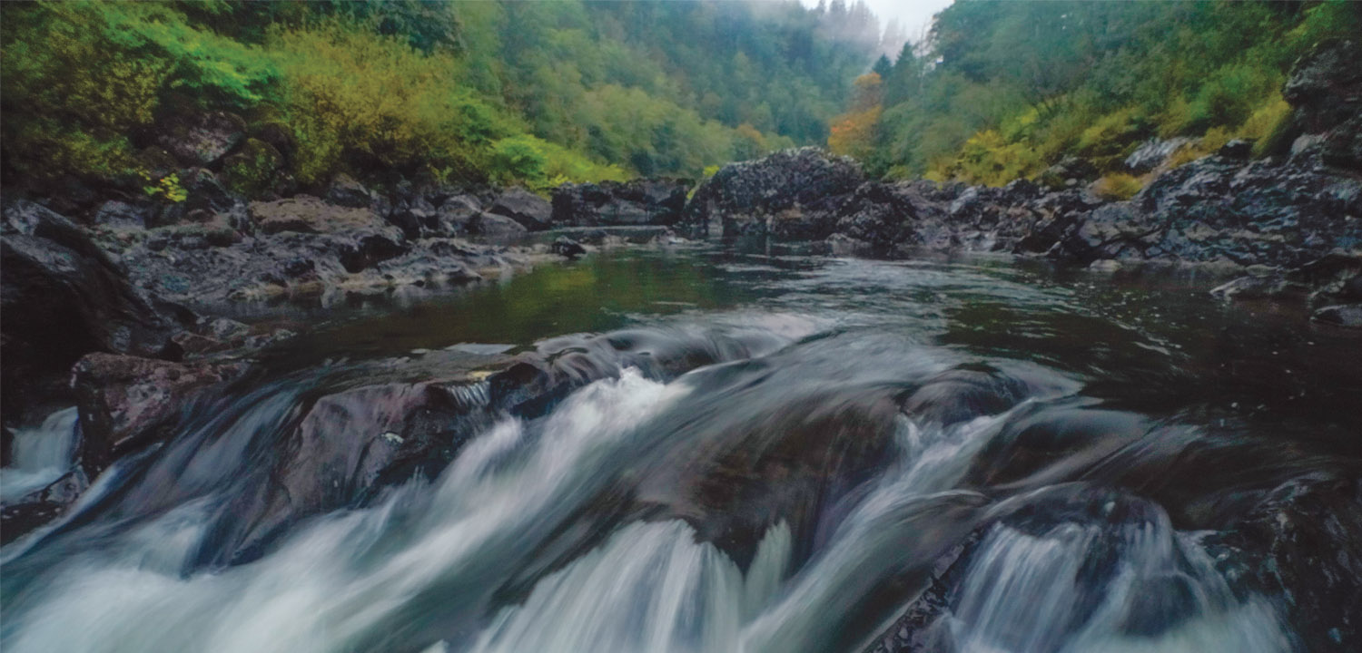 Funder Spotlight: Mountain Rose Herbs - Wild Salmon Center