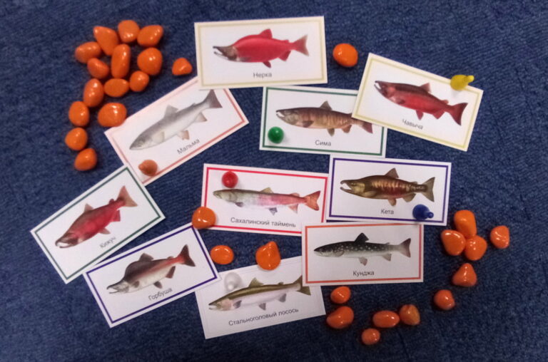 In Russia, Class Time is Game Time with Salmon