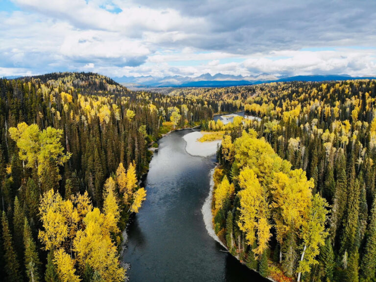 On the Babine River, a Better Way to Log