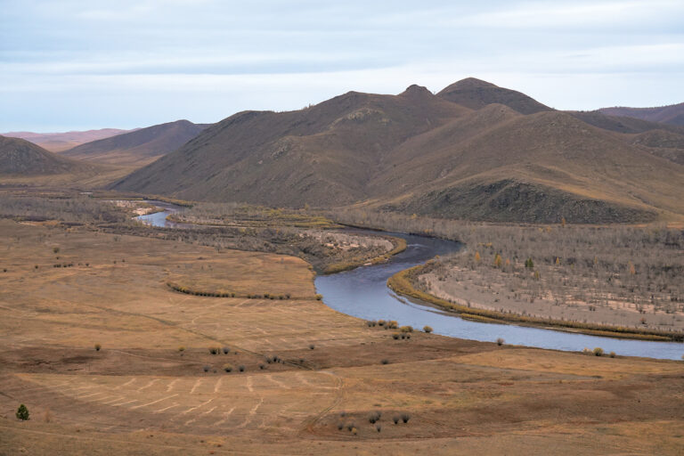 Mongolia’s Taimen Rivers Have Answers