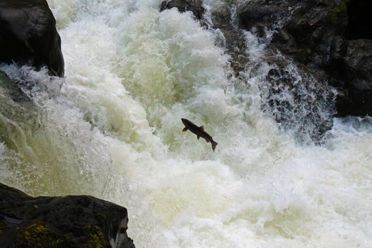 New Grant Accelerates Cold Water Connection Campaign