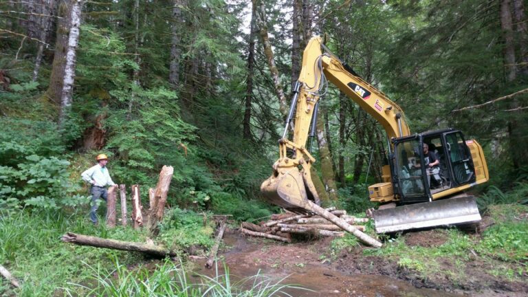 Restoring Six Oregon Coast Coho Watersheds