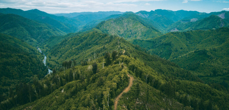 What Is The New Oregon Timber Pact?