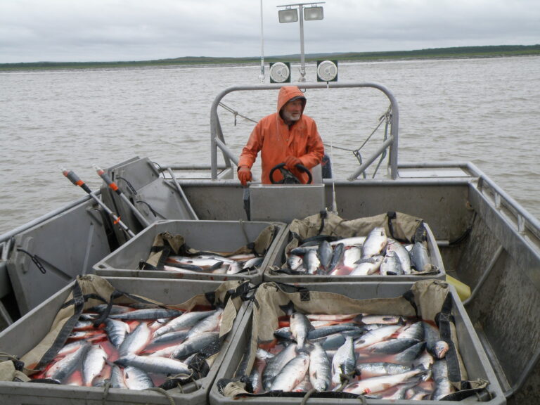 Bristol Bay Communities Call for Pebble Pause