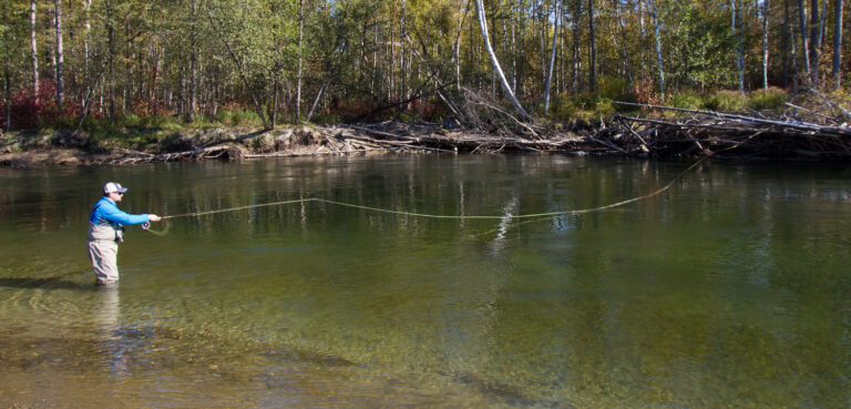 A Catch-and-Release Campaign for Russia