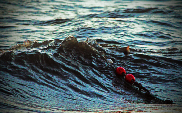 Indigenous Perspectives Needed in High Seas Management