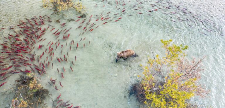 Pebble Opposition Swells