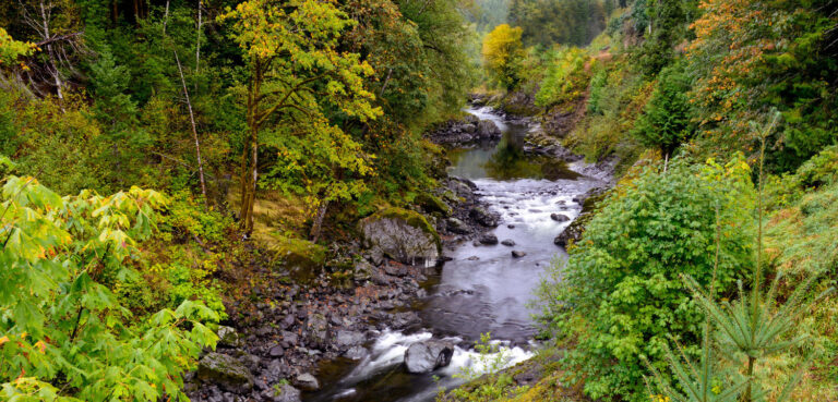 The Oregon Legislature Is in Session. Here’s What to Expect.