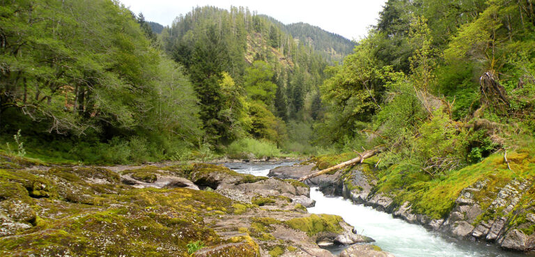 A 70-Year Conservation Plan for the Tillamook