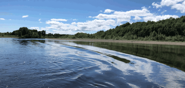 Saving Sakhalin’s Tym River From Poachers