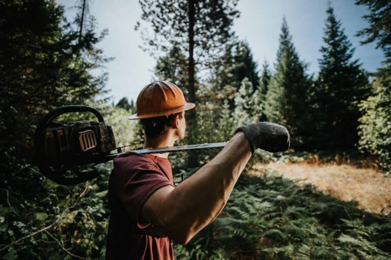 Landmark Deal Reached on Oregon Private Forest Accord