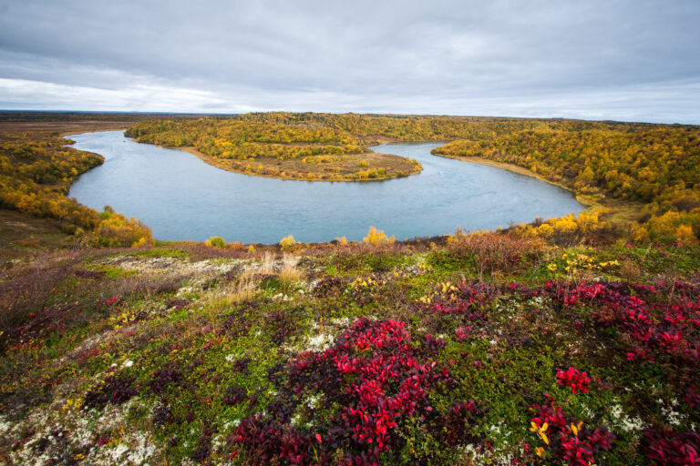 Bristol Bay: Let’s Ask for What We Want