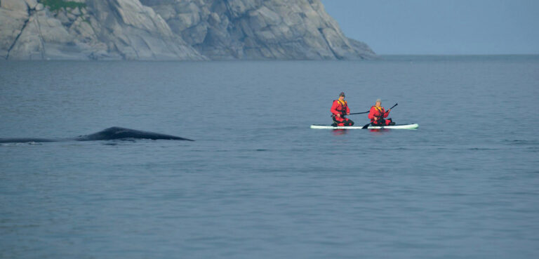 Boomerang Club Trains Guides in Shantars