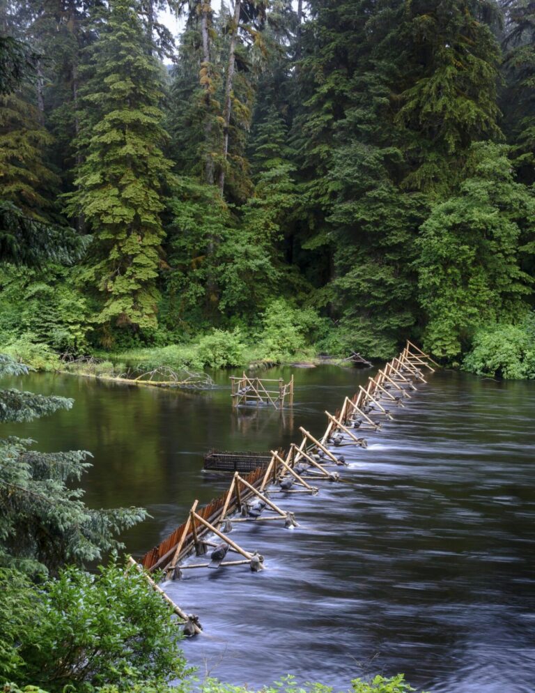 Indigenous Fishing Practices Hold Promise for Future