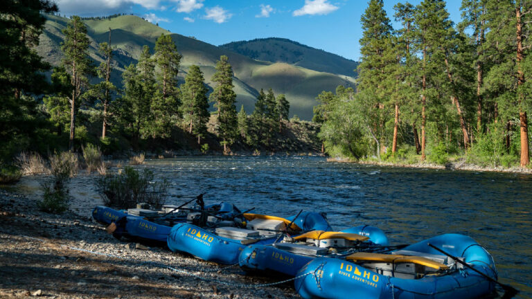 Snake River: Why It’s Time to Remove the Dams