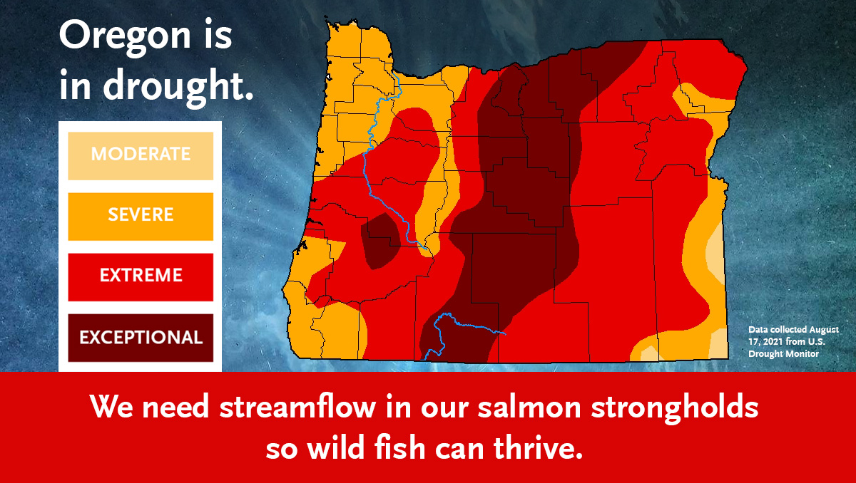 How Oregon’s Water System Can Adapt to a New Climate Reality - Wild Salmon Center